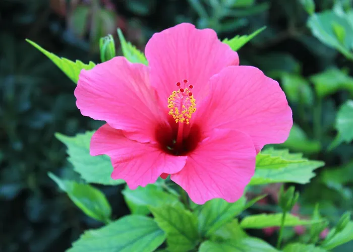 B&B Selene San Vito Lo Capo