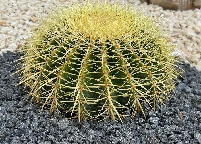 Coral Sand Bed And Breakfast San Vito Lo Capo